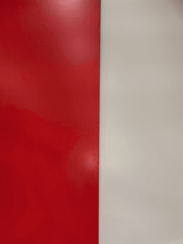 Biancorossi GIF by Pallacanestro Trieste