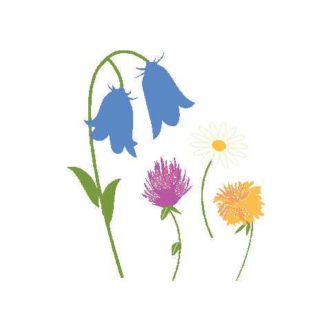 Keelings Fruits Sticker