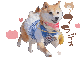 柴アマラ Sticker