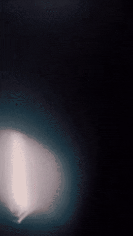 Gucci Milanfashionweek GIF