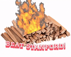 Beat Stanford GIF by Moody NW Real Estate