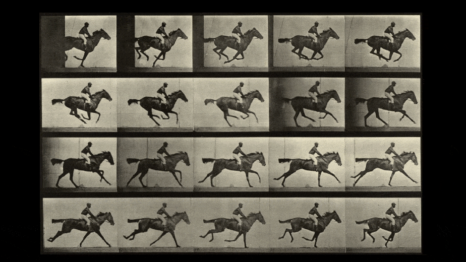 Motion Horse Riding Gif By GIF Find & Share on GIPHY