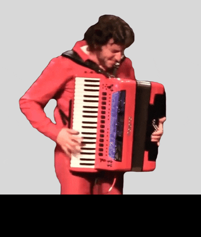 CPezMusic accordion accordeon harmonika accordian GIF