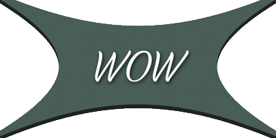 Wow Sticker