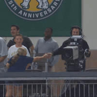 Fan Baseball Reaction