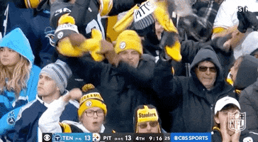 Pittsburgh Steelers Yes GIF by NFL