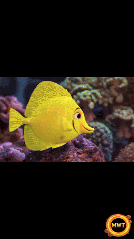 3Danimation GIF