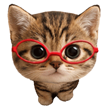 Cat Moving Sticker