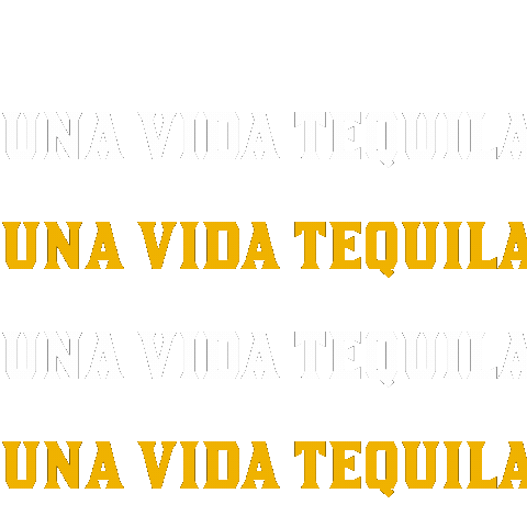 One Life Fun Sticker by Una Vida Tequila