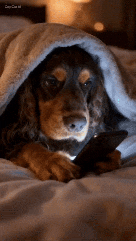 Scrolling At Night GIF