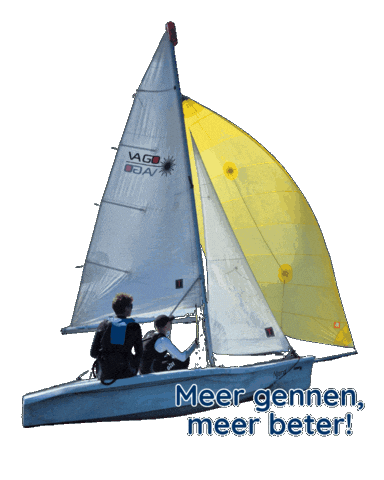 Laser Watersport Sticker by Zeilschool Op de Helling