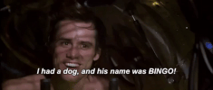 c29tzxnsywirz2lwahlaz21hawwuy29t bingo ace ventura jim carey GIF