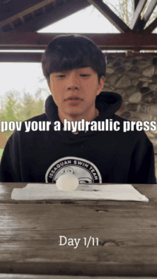 Egg GIF