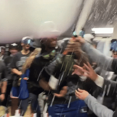 New York Knicks Champagne GIF