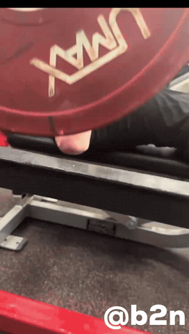 Bench Press GIF