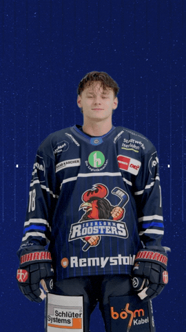 GIF by Iserlohn Roosters