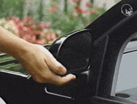 Found Footage Dog GIF by Eternal Family Found Footage Dog GIF by Eternal Family
