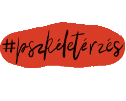 PSZK HÖK Sticker