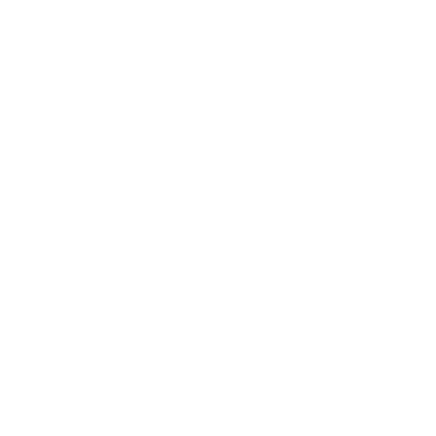 SAShE Sticker