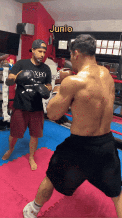 Animated GIF - Find & Share on GIPHY