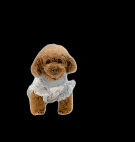 GIF by kalina_wans_gogoh