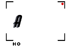 Action Hormiga Sticker