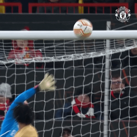 Save De Gea GIF by Manchester United