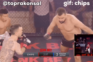 Chips GIF