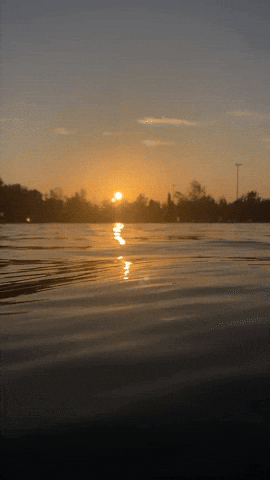 Landscape GIF