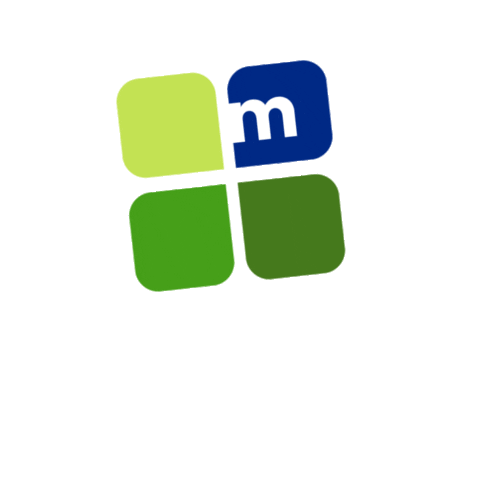 Madini Multisservicos Sticker