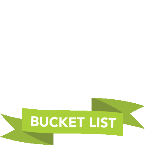 TravelwiseRD Sticker