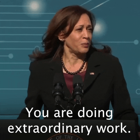 Political gif. Kamala Harris stands at a microphone before the Democratic National Convention, giving a speech. She looks around her seriously as she states, "You are doing extraordinary work."
