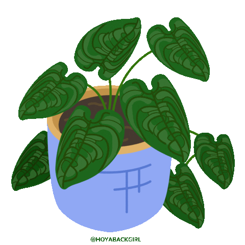 Green Sticker