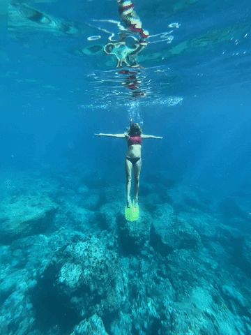 giuliasiegel diving underwater shutup schwimmen GIF