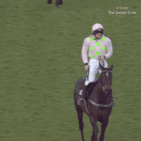 horse racing yes GIF by The Jockey Club