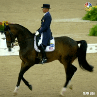 Olympics Us Equestrian GIF by Team USA
