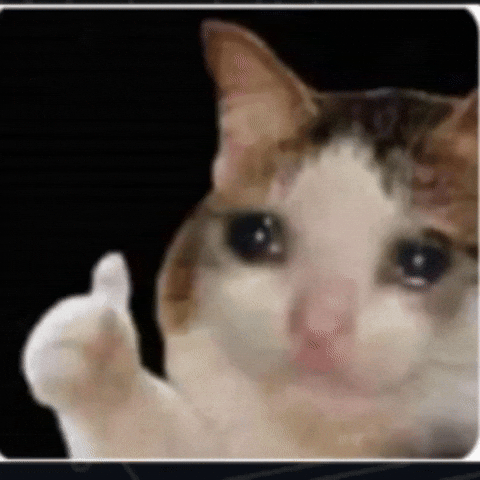 Thumbsupcat GIF