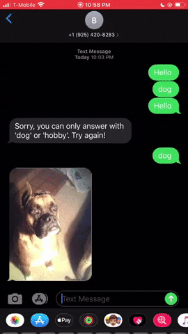 Animated GIF