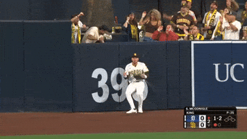 Celebrate San Diego Padres GIF by MLB