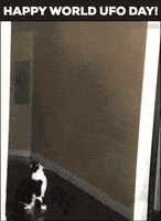 June 24 World Ufo Day GIF by GIFiday