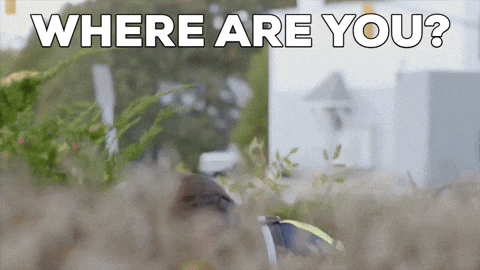 Where Are You Hello GIF by StittsvilleOnPatrol - Find & Share on GIPHY