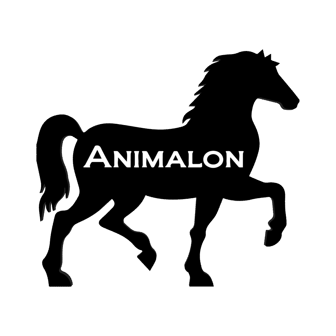 Horse Brushes Sticker by Animalon_Official for iOS & Android GIPHY