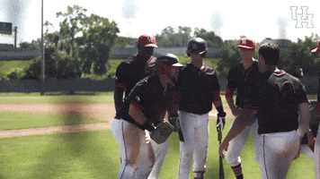 university of houston homer GIF by Coogfans