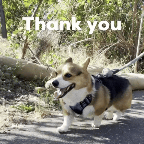 Dog Thank You GIF