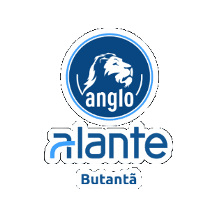 Alante Sticker by Conectar Educadores