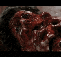 200.gif?cid=fc005b0862f666d54b1a7298433b087d4da7a177187a28bf&rid=200.gif&ct=g