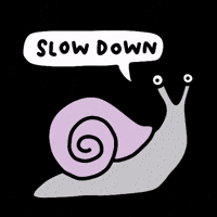 Slug Gifs Get The Best Gif On Giphy