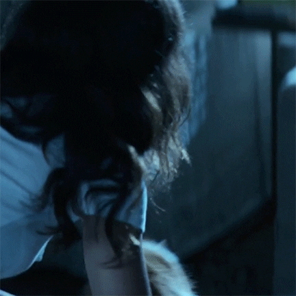 Cbs Cat GIF by Paramount+