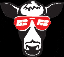 Farm Bureau Cow GIF