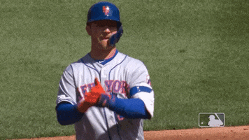 New York Mets Sport GIF by MLB